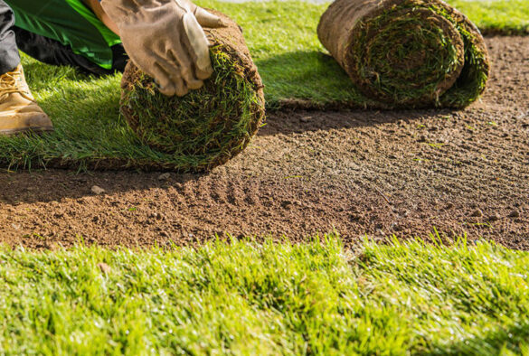 sod-install Services